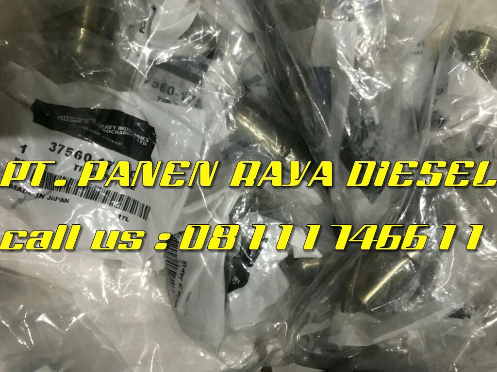 248c0533-e4ee-4c9a-b9be-b191893813fc